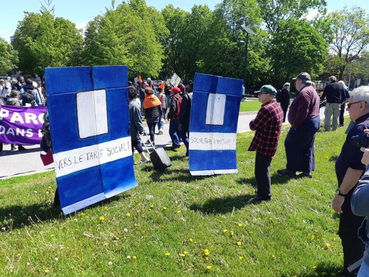 61779558_2266208716827389_5325375408244260864_o